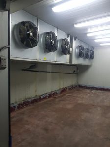 MisterFrigo